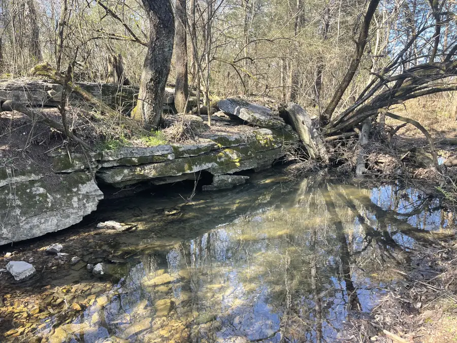 2520 Brown Shop Rd, Petersburg, TN 37144 - Image #2