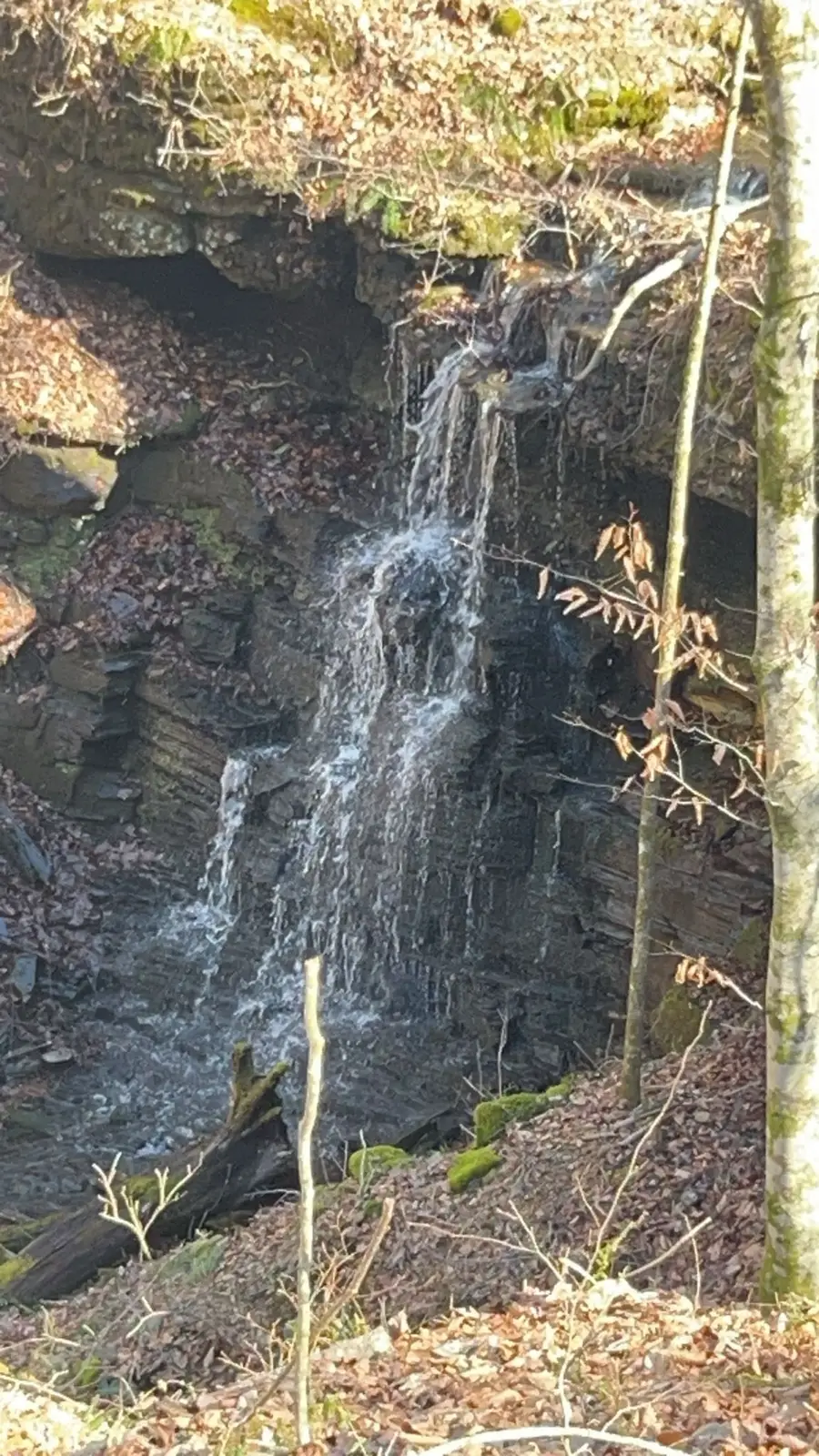 0 Grosch, Tullahoma, TN 37388 - Image #2