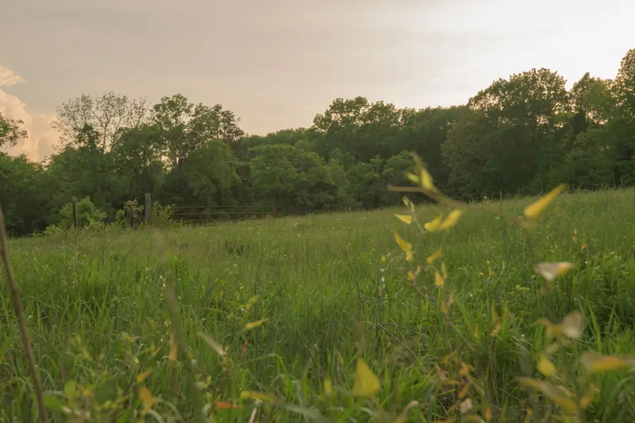 775 Railroad Rd, Wartrace, TN 37183 - Image #3