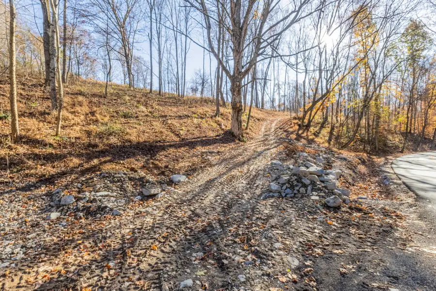 1548 Rabe Coats Rd, Westmoreland, TN 37186 - Image #2