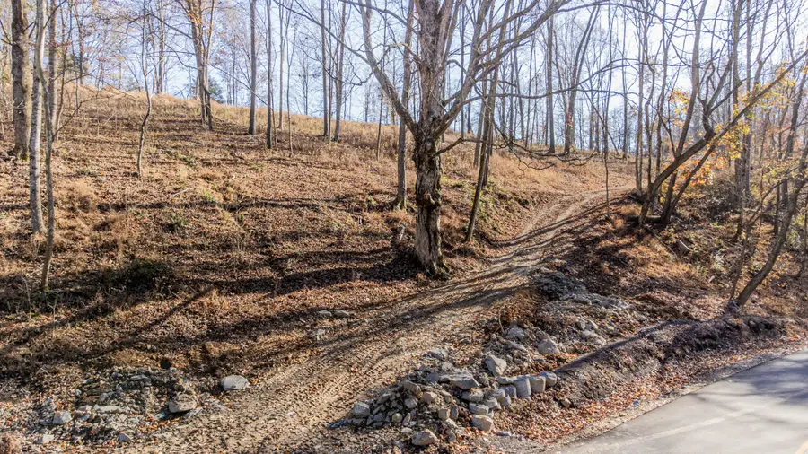 1548 Rabe Coats Rd, Westmoreland, TN 37186 - Image #3