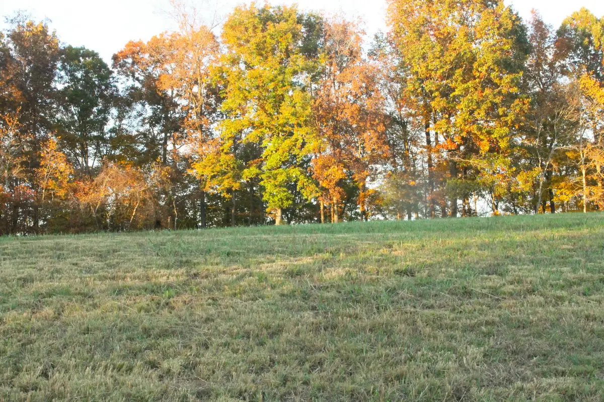 125 Miramare Way, Adams, TN 37010 - Image #1