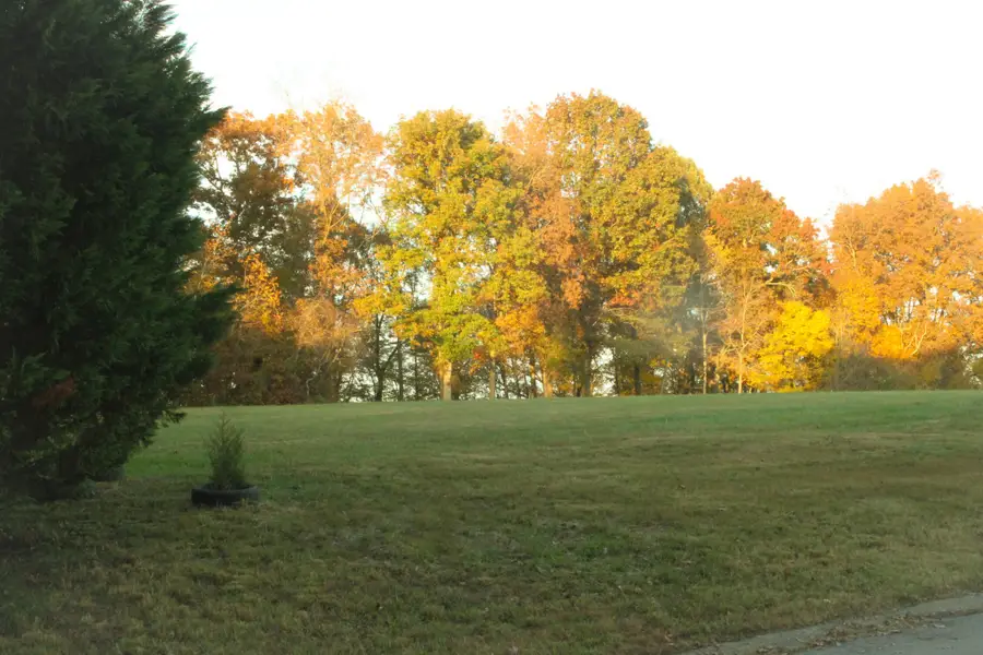 125 Miramare Way, Adams, TN 37010 - Image #2