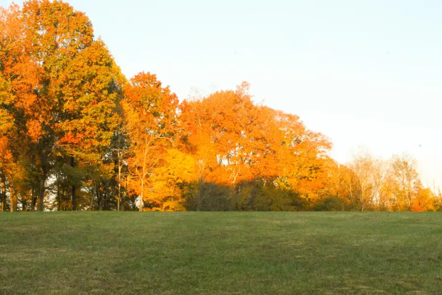 125 Miramare Way, Adams, TN 37010 - Image #3