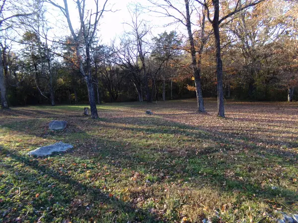 139 Fairview Ave, Cornersville, TN 37047