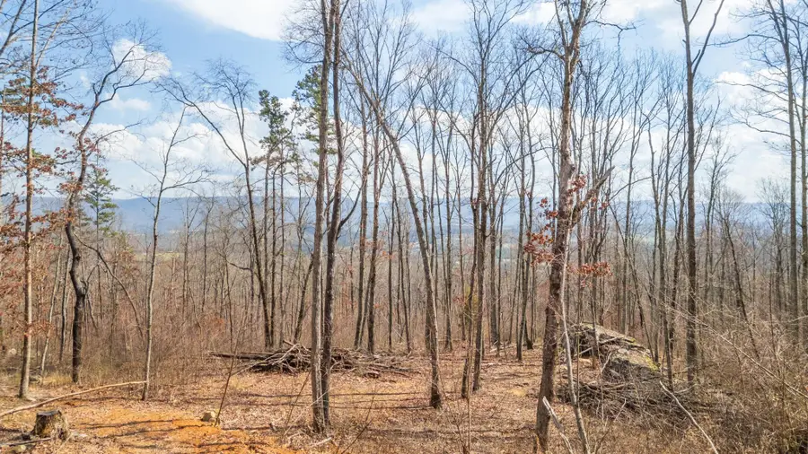 0 Lee Station Mountain Road, Pikeville, TN 37367 - Image #3