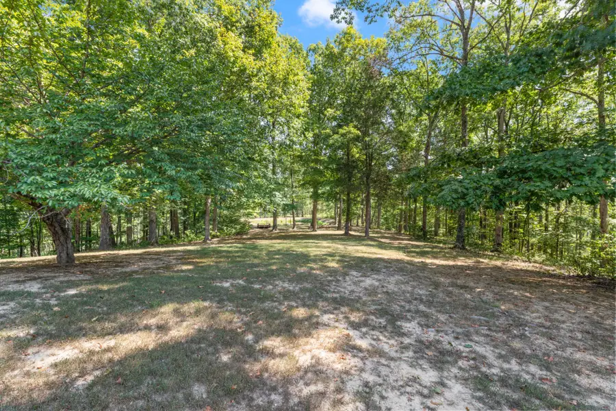 7422 Indian Creek Rd, Mc Ewen, TN 37101 - Image #2