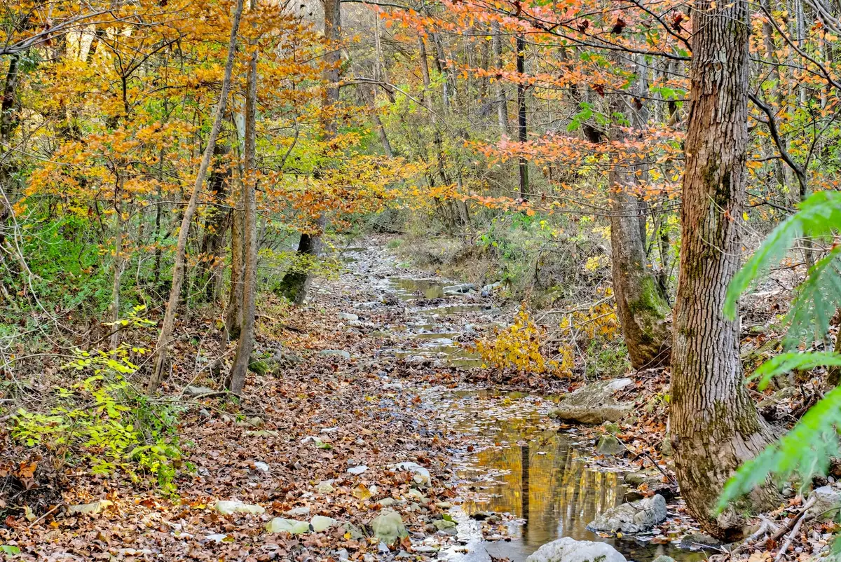 0 Rock House Hollow Road, Westmoreland, TN 37186 - Image #1