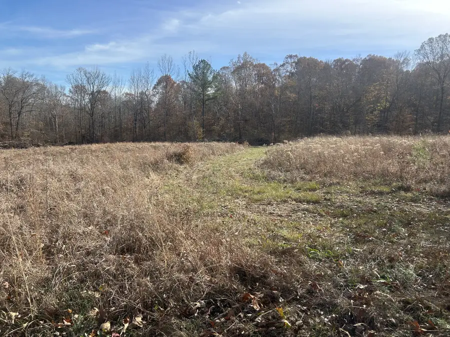 0 Off Sulphur Creek Rd, Big Sandy, TN 38221 - Image #3