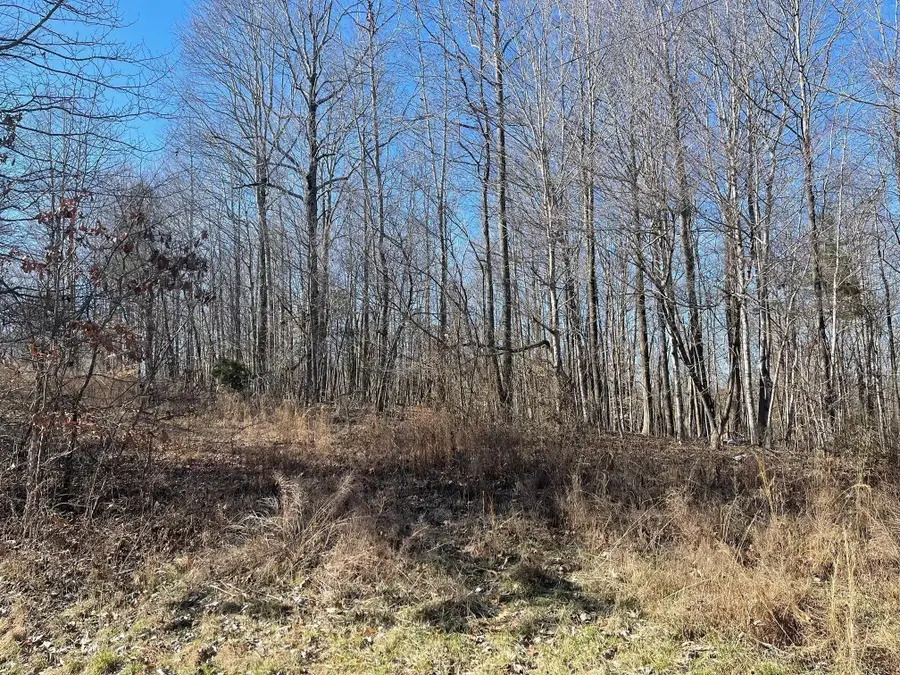 0 Chandler Rd, Woodlawn, TN 37191 - Image #3