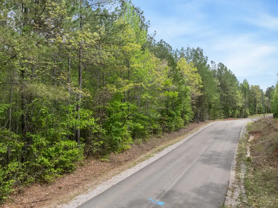 0 Curtis Hill Church Rd, Bethel Springs, TN 38315 - Image #3