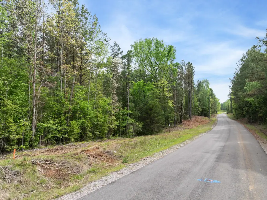 0 Curtis Hill Church Rd, Bethel Springs, TN 38315 - Image #3