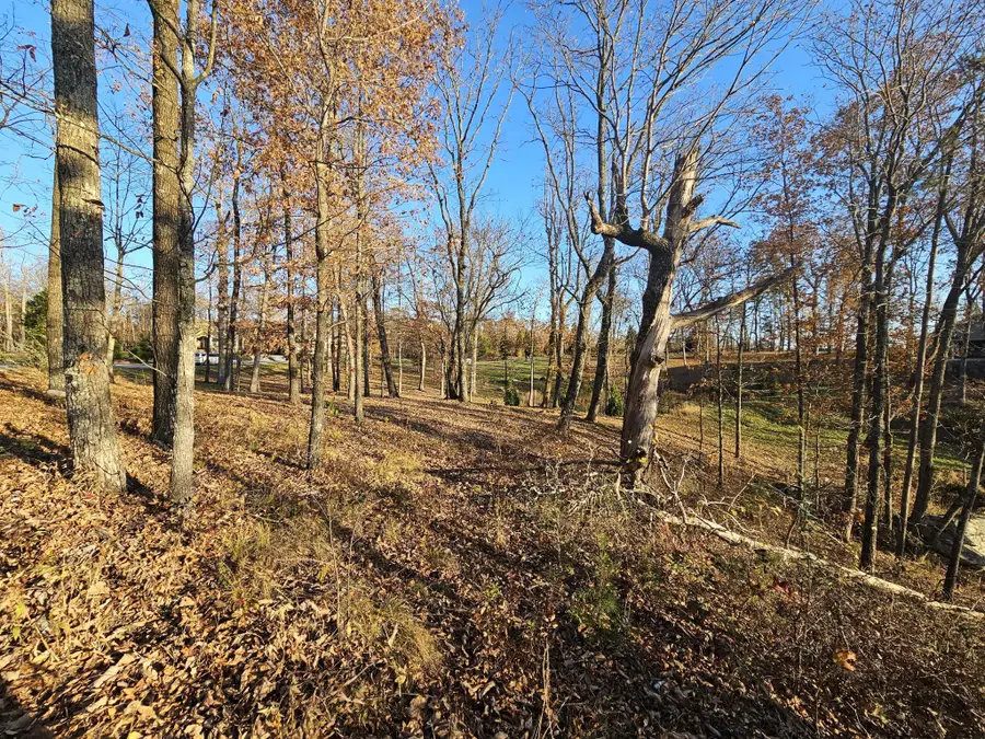 407 Brow Wood Lane, Lookout Mountain, GA 30750 - Image #3