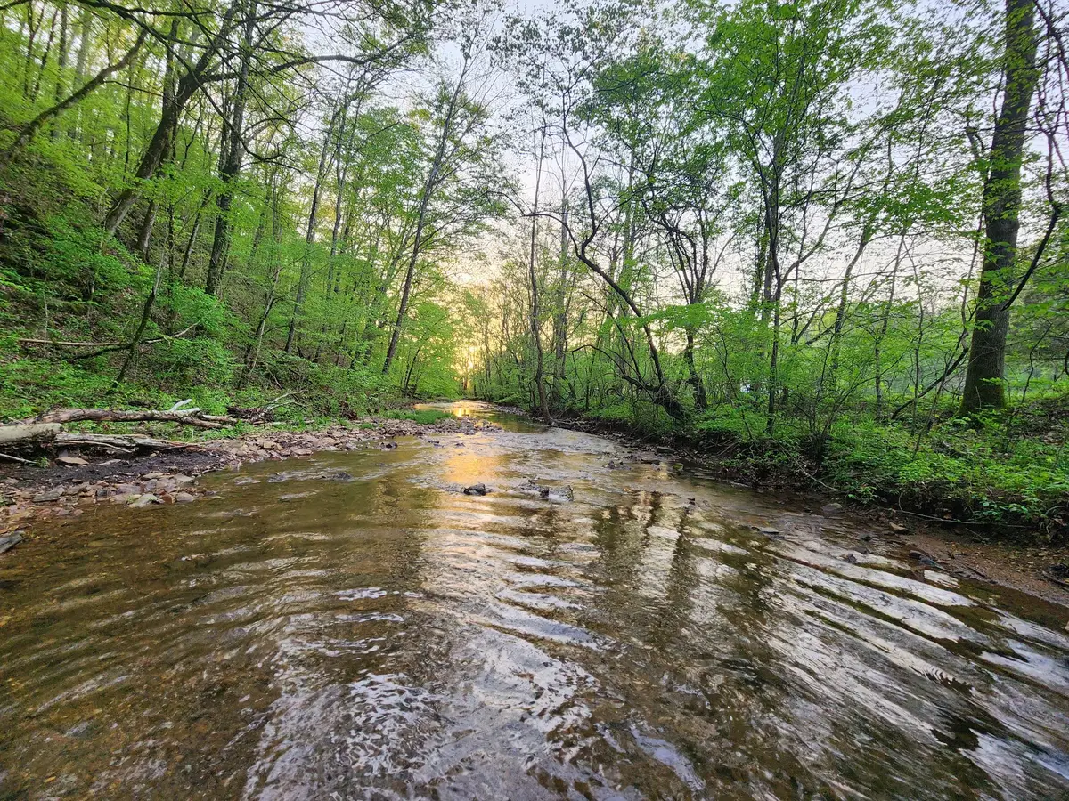 0 Blowing Springs Rd, Lawrenceburg, TN 38464 - Image #1