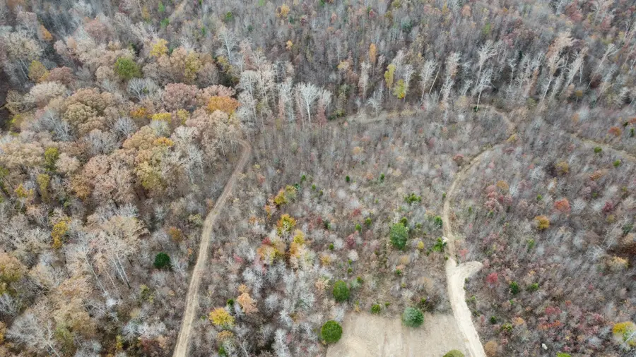 830 Twin Pines Overlook, Lobelville, TN 37097 - Image #3