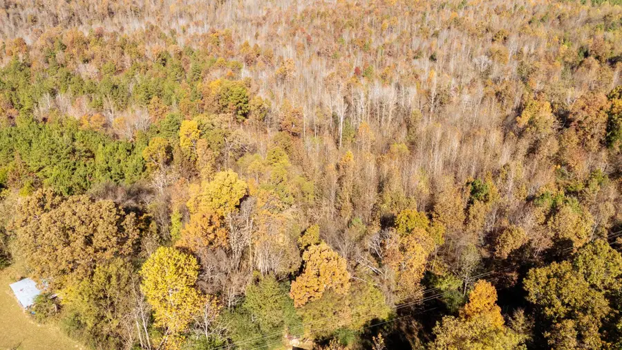 8069 Old Stage Rd, Adamsville, TN 38310 - Image #3