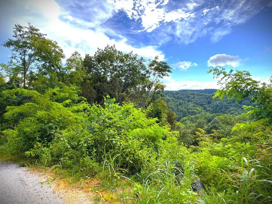 142 Sunfish Lane, Hilham, TN 38568 - Image #2