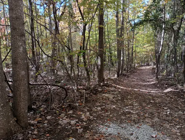 0 Clouse Hill Rd, Pelham, TN 37366