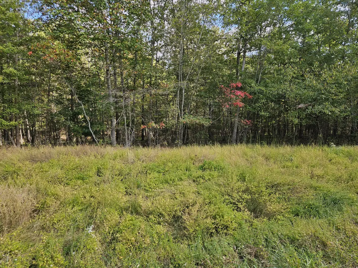 0 Holly Lane, Spencer, TN 38585 - #1