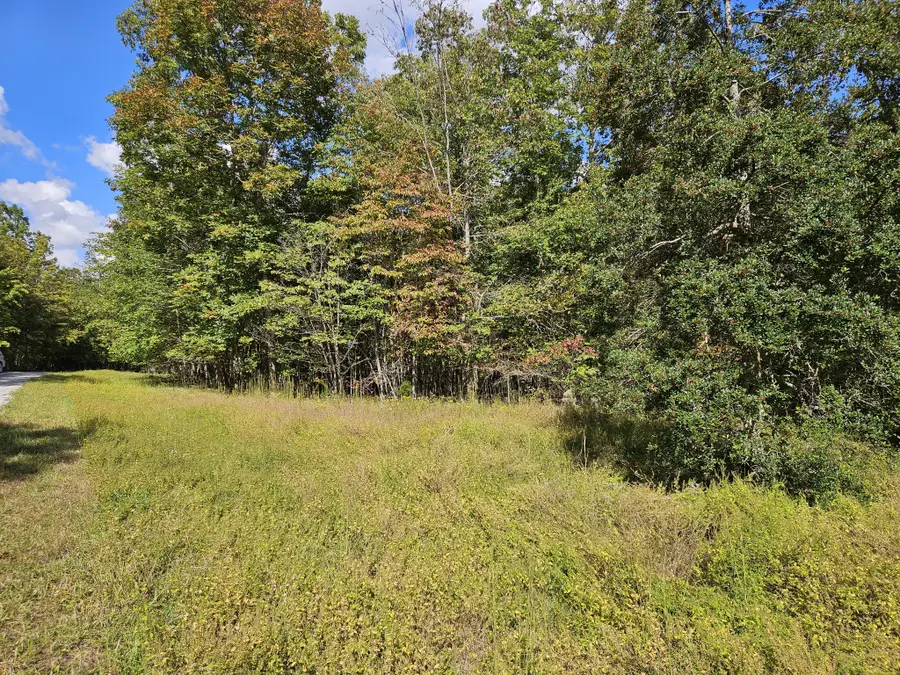 0 Holly Lane, Spencer, TN 38585 - #2