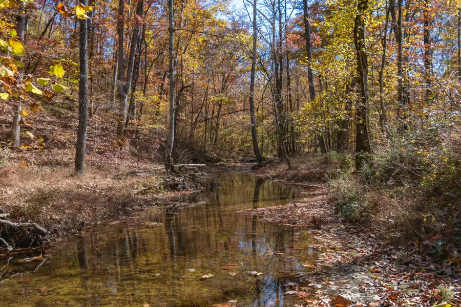 202 Ravenridge Rd, Summertown, TN 38483 - Image #2