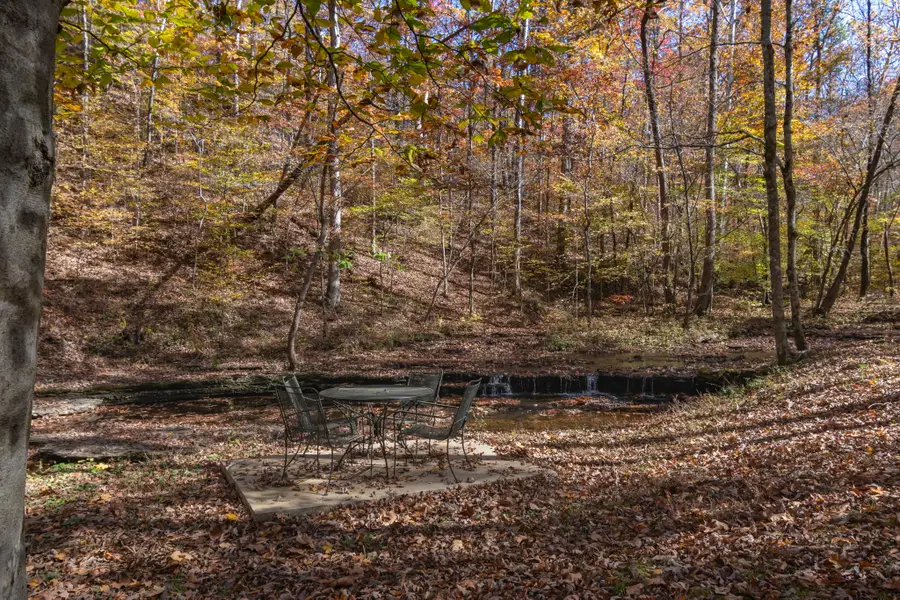 202 Ravenridge Rd, Summertown, TN 38483 - Image #3