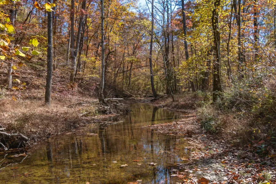 202 Ravenridge Rd, Summertown, TN 38483 - Image #2