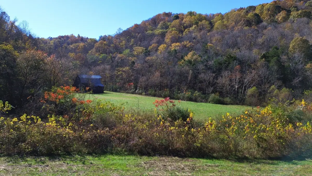 0 Hollis Creek Rd S, Woodbury, TN 37190 - Image #1