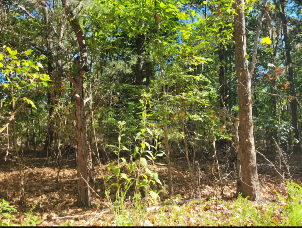 5515 Blues Trl E, Centerville, TN 37033 - Image #1