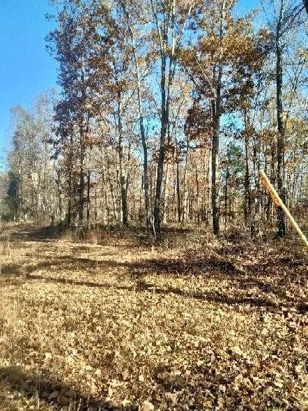 5515 Blues Trl E, Centerville, TN 37033 - Image #2