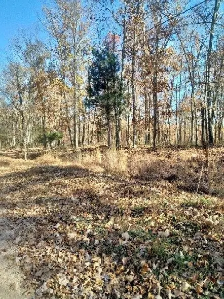 5515 Blues Trl E, Centerville, TN 37033 - Image #3