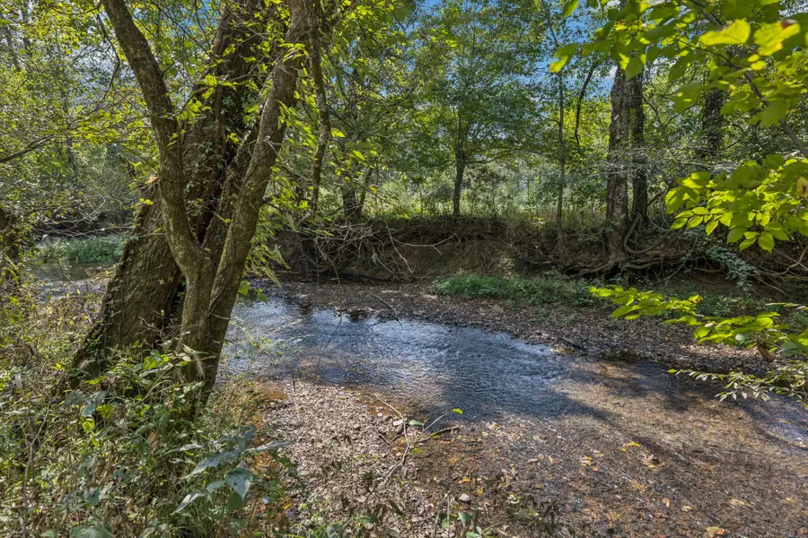 0 Shoal Creek Road, Goodspring, TN 38460 - Image #3