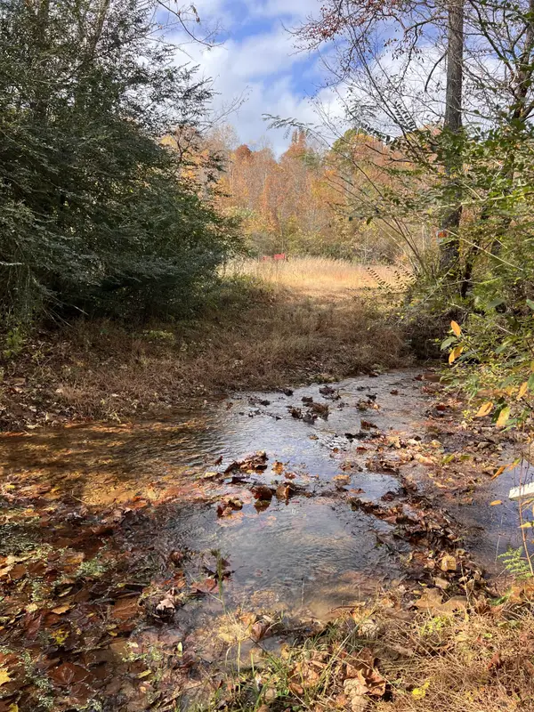 2077 Deer Creek Rd, Linden, TN 37096