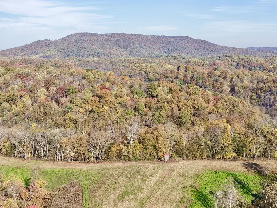 270 Higgins Rd, Woodbury, TN 37190 - Image #2