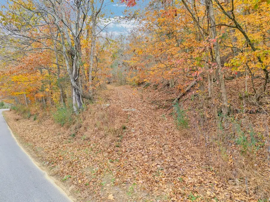 0 Ensor Hollow Rd, Buffalo Valley, TN 38548 - Image #2