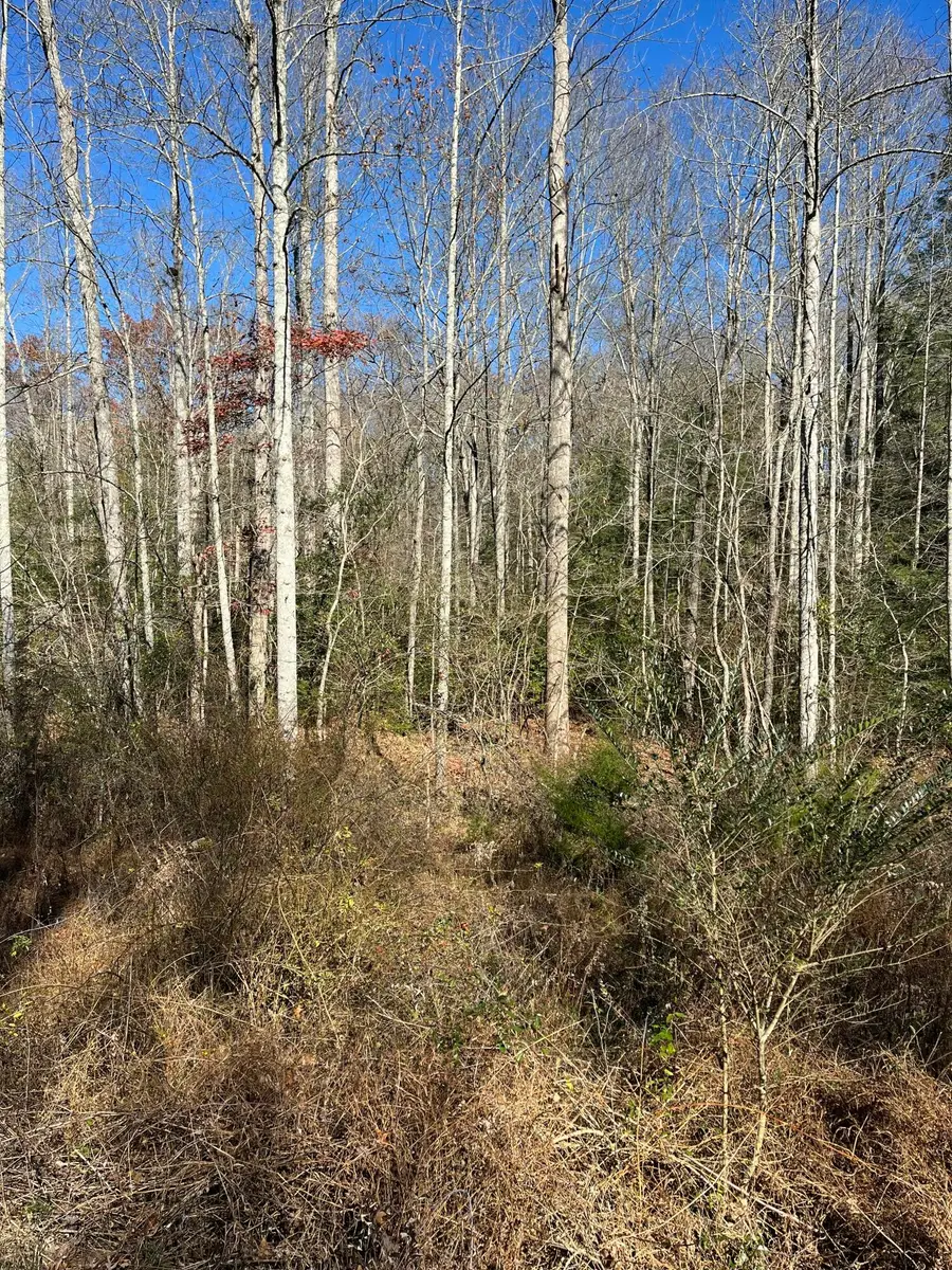 5 Hendon Road, Graysville, TN 37338 - Image #3