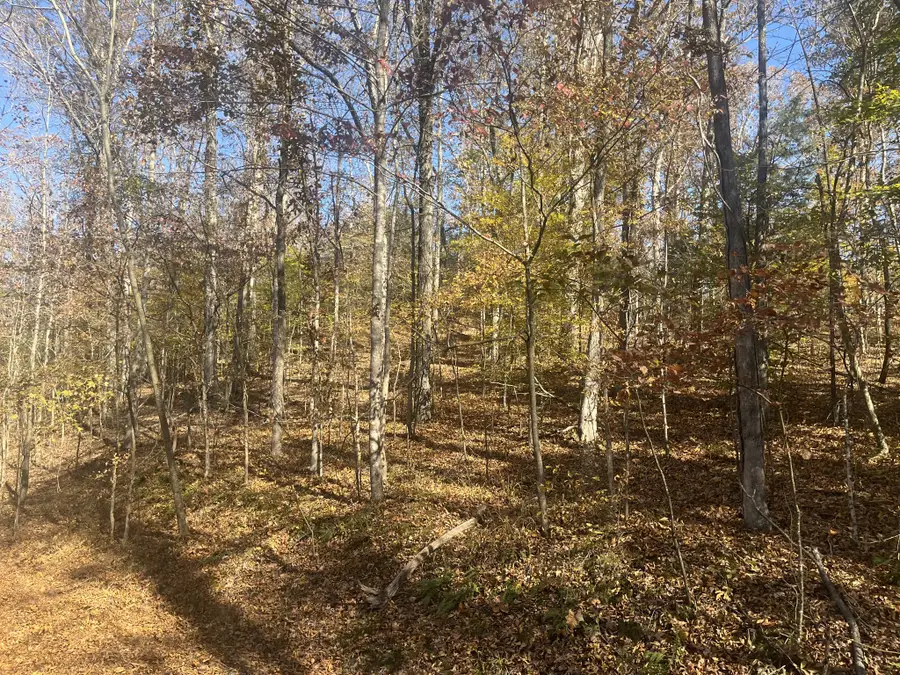 0 Arrow Head Circle, Parsons, TN 38363 - Image #3