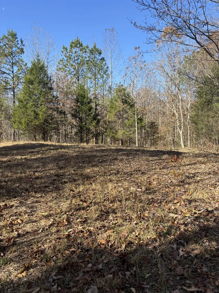 1212 Second Creek Rd, Lutts, TN 38471 - Image #3