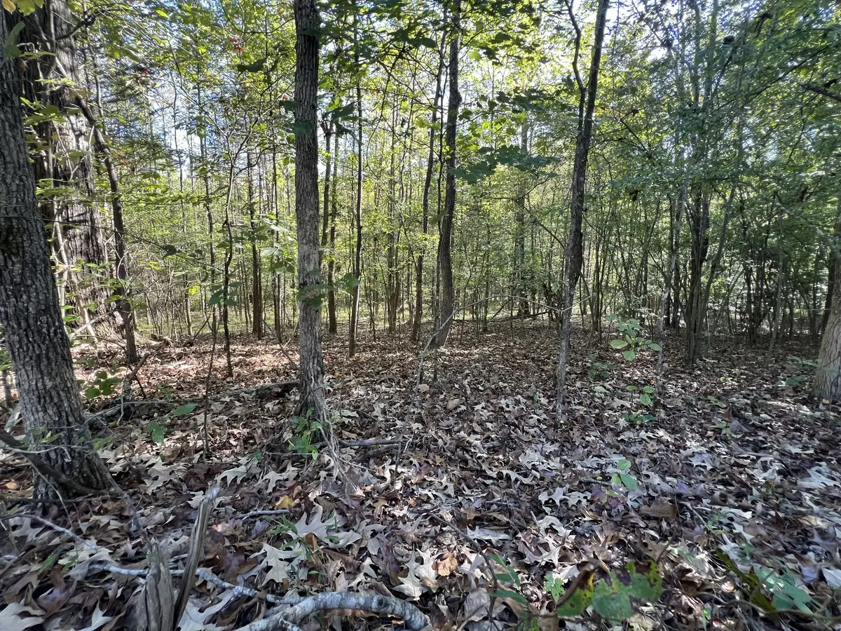 0 Tobaccoport Rd, Bumpus Mills, TN 37028 - Image #1