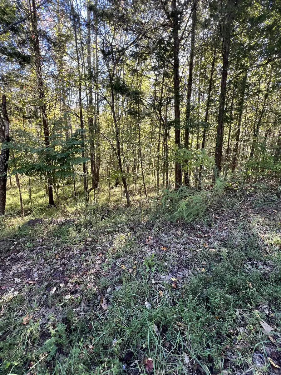 0 Tobaccoport Rd, Bumpus Mills, TN 37028 - Image #3