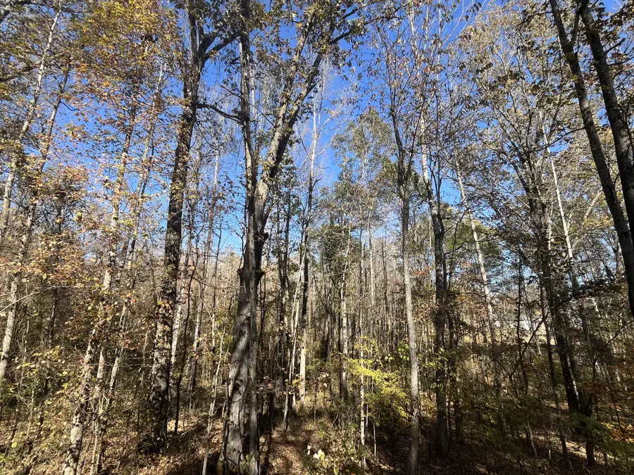 0 Indian Park Dr, Parsons, TN 38363 - Image #2