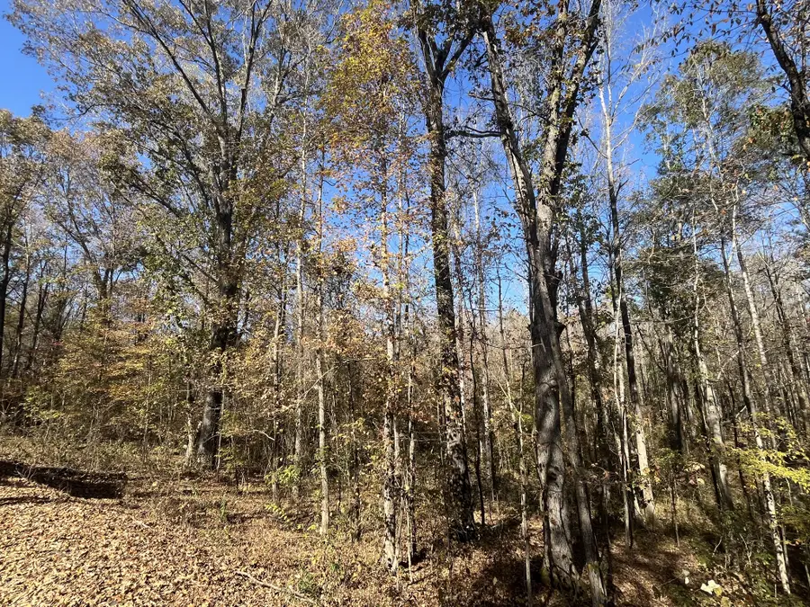 0 Indian Park Dr, Parsons, TN 38363 - Image #3