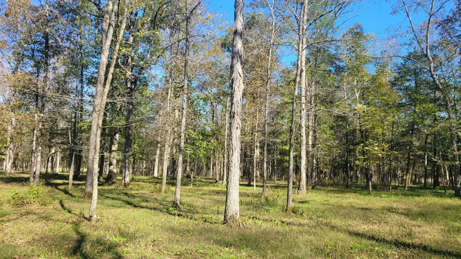 6 Pass Rd, Shelbyville, TN 37160 - Image #3