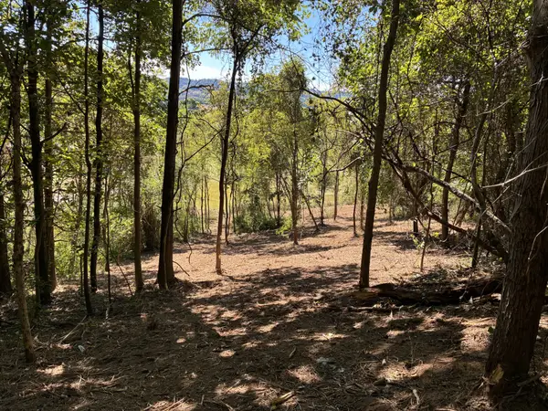 1915 Sedberry Rd, Thompsons Station, TN 37179