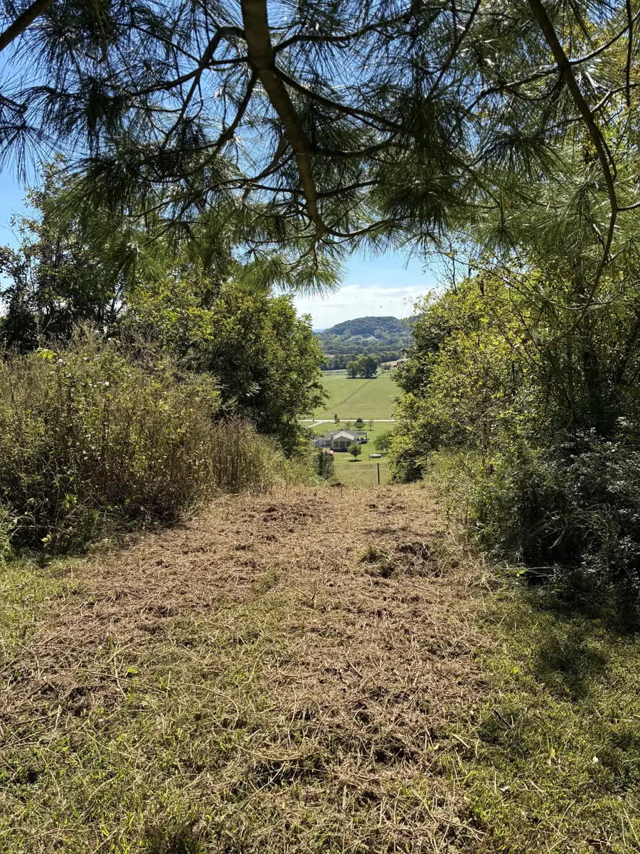 1915 Sedberry Rd, Thompsons Station, TN 37179 - Image #2