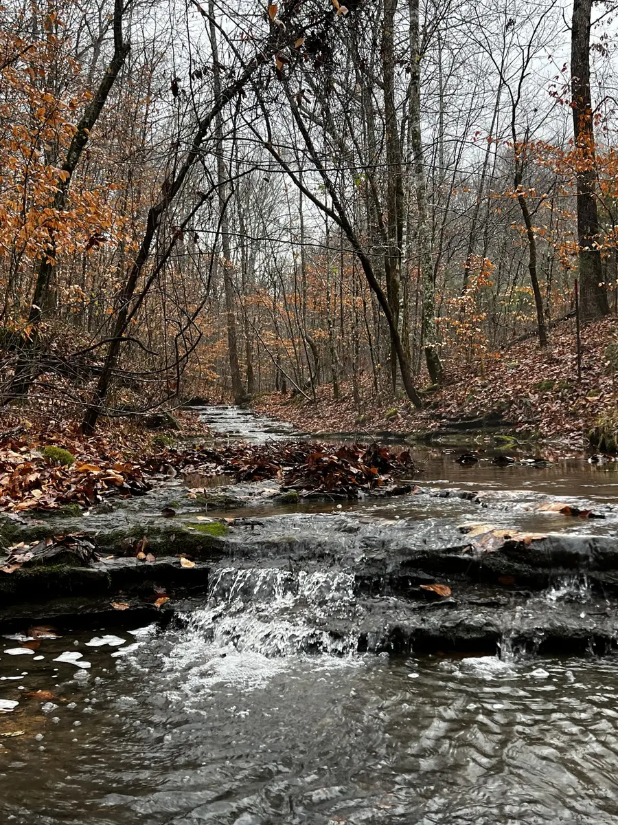 1911 Smalling Rd, Lafayette, TN 37083 - Image #2