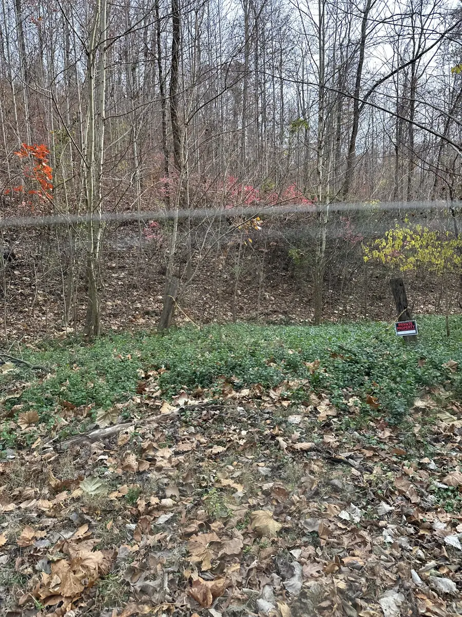 216 Happy Hollow Rd, Goodlettsville, TN 37072 - Image #2