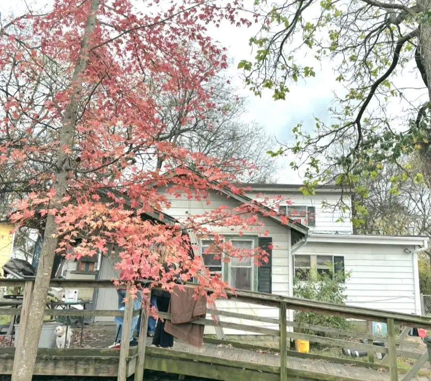 261 Ross Ave, Gallatin, TN 37066 - Image #2