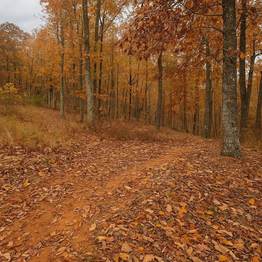 0 Overlook Trl, Stewart, TN 37175 - Image #3