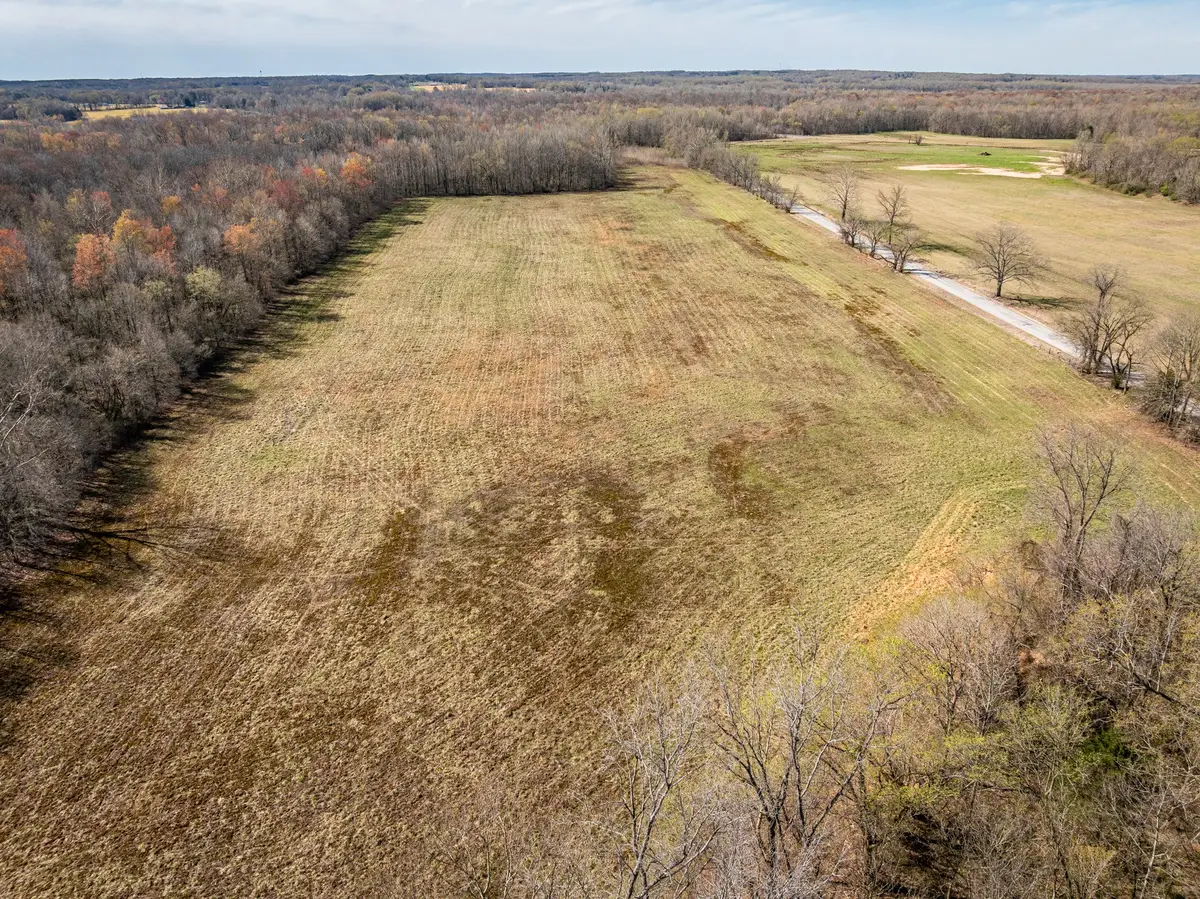 0 Lavinia Rd, Medina, TN 38355 - Image #1